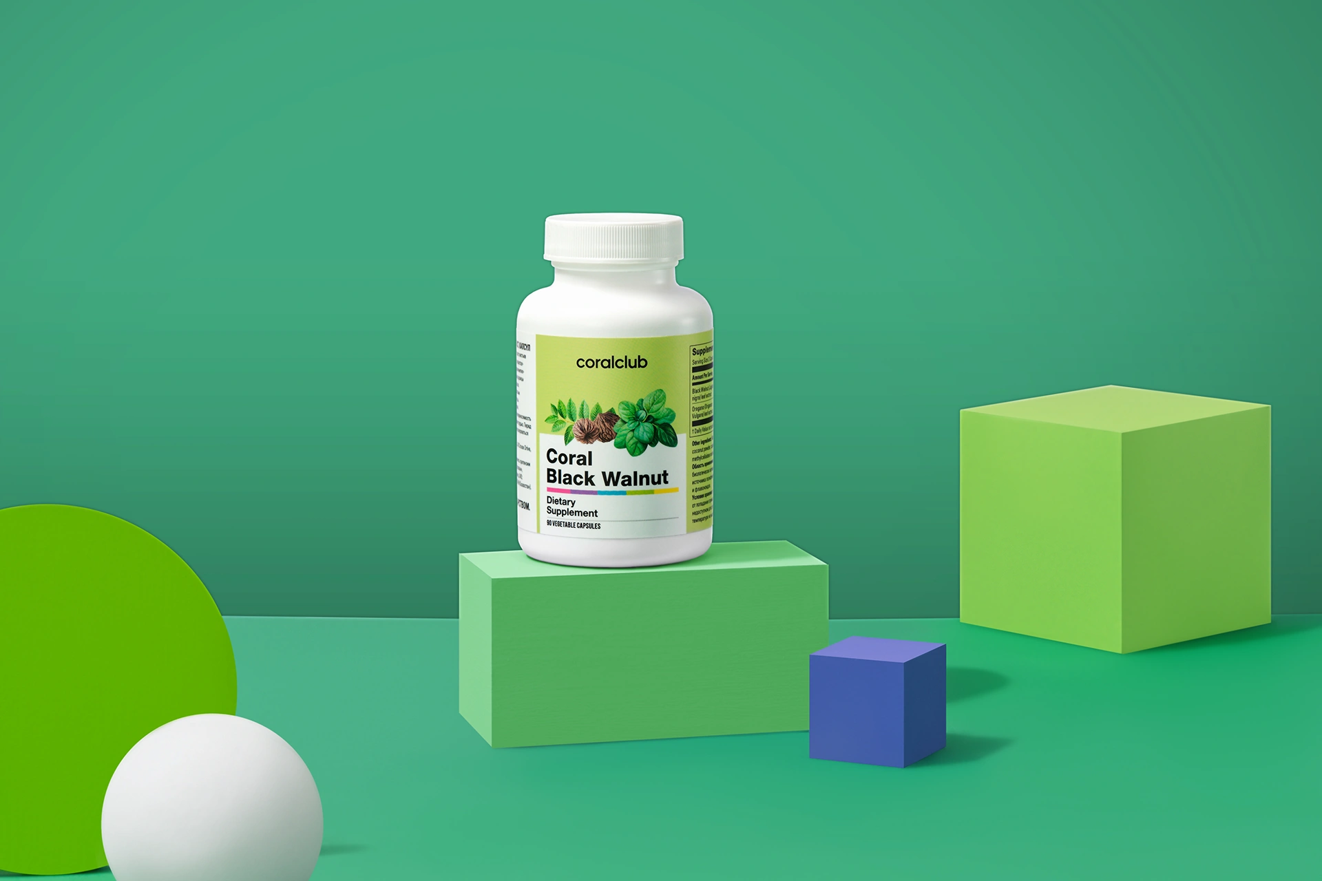 კორალ შავი კაკალი