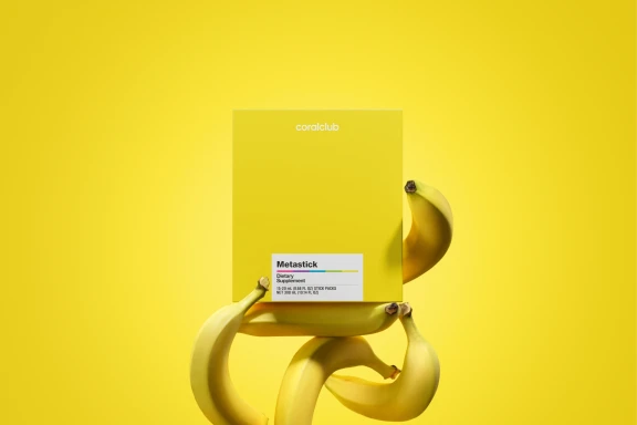 მეტასტიკი